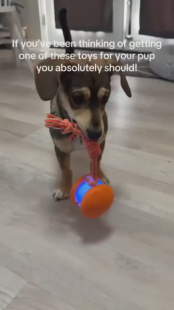 Pelota Interactiva para Perros con Cuerda – Juguete Rodante Automático con Sensor de Movimiento